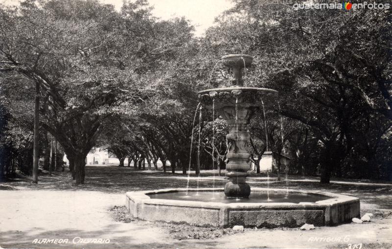 Fotos de Antigua Guatemala, Sacatepéquez, Guatemala: Alameda del Calvario