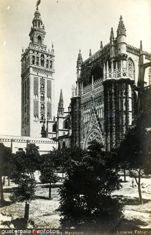 Patio de los Naranjos